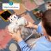 Sensory Mats for Children & Pets | Tactile Sensory Pads for Autism | 6-Pack Learning Tiles & Mats - Buy Online on GoSupps.com