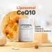 Codeage Liposomal CoQ10 Supplement - 125 mg Coenzyme Q10 with Vitamin E - Vegan Non-GMO Gluten-Free - 60 Capsules for Energy & Antioxidant Support - Buy Online on GoSupps.com