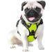 Phoepet Reflective Adjustable Dog Harness with Training Handle & ID Card - XS Green | Anti-Educational Easy Tightening - Buy Online on GoSupps.com