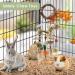 ERKOON Rabbit Hamster Hanging Chew Toys - Applewood Boredom Breaker with Grass Ball and Carrot Treats for Small Pets - Buy Online on GoSupps.com