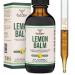 Double Wood Supplements Organic Lemon Balm Tincture - for Digestion & Relaxation 590mg - 2FL OZ 120 Servings (Better Absorbed Than Capsules Great for Lemon Balm Tea)