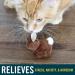 Interactive Cat Toy Set - Play-N-Squeak Barnyard Kitten Toys with Catnip & Real Sound | Cat Stocking Stuffer for Christmas - Buy Online on GoSupps.com