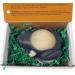 WFG WATERFALL GLEN SOAP COMPANY LLC Morgan frog soap rosemary and eucalyptus natural vegan frog bath soap with shea butter