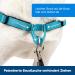Petsafe Easy Walk Deluxe Harness & 1.8m Leash - Tear-Resistant Dog Running Gear | Small Ocean Blue/Black - Buy Online on GoSupps.com