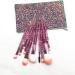 10PC Portable Pink Makeup Brush Set - Eye Shadow & Foundation Brushes for Flawless Makeup Application - Buy Online on GoSupps.com