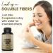 Psyllium Husk Capsules 250 Count - All-Natural Fiber Supplement for Gut Health - Buy Online on GoSupps.com