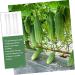 Milisten 15 Pcs Vegetable Shaping Mold Watermelon Forming Machine - Buy Online on GoSupps.com