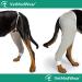 After Surgery Wear: Large Petrol Hip & Thigh Protective Cover for Dogs - Veterinarian Recommended Recovery Cuff - Buy Online on GoSupps.com