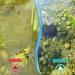 Savings Set Garden Pond - Algae-Free Solution for Ponds Up to 5 000 Liters | International Shipping Available - Buy Online on GoSupps.com