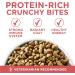 Purina ONE +Plus Dry Cat Food Indoor Advantage Salmon - 3 kg Bag 3 kg (Pack of 1) - Buy Online on GoSupps.com
