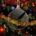 Acrylic Circle Blanks - Transparent Round Disc Blank 2mm Thick - Tree Hanging Disc with for Craft Holiday Hanging Decoration Supplies N 20pcs - Buy Online on GoSupps.com