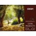 Dalan Antique Olive Oil Bar Soap - 100% Natural | Shop Now - Buy Online on GoSupps.com