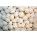 Yogurt Covered Peanuts 10LBS - Delicious Snack with Crunchy Peanuts & Sweet Yogurt Coating - Buy Online on GoSupps.com