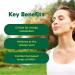 Organika NAD+ Booster - NRC - for Energy Metabolism Healthy Aging Vitamin B3 and Cellular Health - 60vcaps 60 Day Supply - Buy Online on GoSupps.com