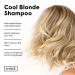 dpHUE Cool Blonde Shampoo 8.5 oz - Purple Toning Shampoo for Color-Treated Hair - Buy Online on GoSupps.com