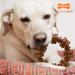 Nylabone Power Chew Textured Ring Dog Chew Toy - X-Large/Souper - Made in USA - Bold Flavor - Aggressive Chewers - Ring Flavor Medley - 1 Count - Buy Online on GoSupps.com
