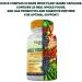 Vitamin B Complex Whole Food Supplement - Vegan 120 Capsules for Stress, Energy, and Immune Support - Buy Online on GoSupps.com
