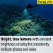 SeaLife Sea Dragon 3000SF Pro Dual Beam Underwater Scuba Light Kit (SL679) - Compact COB LED Photo-Video Lighting for Diving - Grip & Tray Included - Buy Online on GoSupps.com