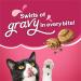 Purina Friskies Gravy Swirlers Adult Dry Cat Food 3.15lb - Delicious Gravy Flavors | Nutritious Cat Food - Buy Online on GoSupps.com