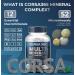CORSA365 Multimineral Supplement Magnesium Complex with Trace Minerals for Immune Support - Potassium Magnesium Supplement Calcium Vitamin D Zinc Cooper Boron Supplement for Men Women - 120 Capsules - Buy Online on GoSupps.com
