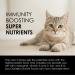 Sun Chlorella Rejuv-A-Wafers - Daily Superfood Supplement for Pets - Immune Defense & Gut Health Support - 60 Wafers - Buy Online on GoSupps.com