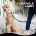 Black Rhino - Premium Hands Free Dog Leash for Running Walking Jogging & Hiking - Adjustable Length Dual Handle Bungee Leash Medium Large Dogs Neoprene Padded Handles - Running Pouch Included Aqua 4 Feet Gray/Aqua - Buy Online on GoSupps.com