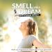 DEMETER Pumpkin Pie 1 oz Cologne Spray Perfume for Women and Men Pumpkin Pie 1 Fl Oz (Pack of 1) - Buy Online on GoSupps.com