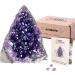 Deep Purple Amethyst Crystal Rock 0.5-1 lb Raw Cluster Uruguay Quartz Geode - Premium Grade Amethyst - Buy Online on GoSupps.com