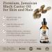 Buy Bella Terra Oils Pure Black Castor Oil - 1 Gallon for Hair & Skin | Fortifying Moisturizing Shine & Hydrate (Pack of 10) - International Shipping Available - Buy Online on GoSupps.com