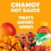 Tajin Chamoy Liquid 455ml: Authentic Mexican Flavors for Spicing Up Your Dishes - Buy Online on GoSupps.com