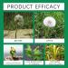 Chlorophylle Vapeur Solution Nutriments Solution Croissance des Am liorateurs Suppl ments Stimulateurs Enracin s Solution Concentr e 1 Bottle - Buy Online on GoSupps.com