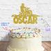 Cakeshop Cake Decoration Pack | Motorcross Dirtbike Theme Premium Double Sided Glitter Card Cake Topper & 25g Party Pack of Cake Sugar Sprinkles | Custom Name Cake Decorations (Gold) Prime Glitter Card: Gold - Buy Online on GoSupps.com
