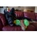 Multipet Duckworth Plush Dog Toy 13 - Assorted Colors | Durable & Fun Toy for Dogs - Buy Online on GoSupps.com