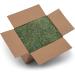 Dried Natural Alfalfa Hay for Rabbits, Guinea Pigs, Chinchillas & Ferrets - Protein and Fiber-Rich Food - 5 lb Pack - Healthy Pet Food - Buy Online on GoSupps.com