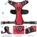 Adjustable No-Pull Dog Harness & Reflective Dishes for Small Dogs | Breathable Padded Handle - Red Size S (35-61cm) - Buy Online on GoSupps.com