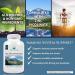 Nature's Lab Zinc Picolinate 50mg - Highly Absorbable Zinc Supplement - 100 Capsules | 3 Month Supply - Buy Online on GoSupps.com