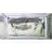 Large Fish Breeder Net with Suction Cups - Nylon Mesh Hatchery Isolation Box for Aquarium Tank - Buy Online on GoSupps.com