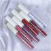 Matte Lipstick Sets Lip Gloss Set Makeup Waterproof Liquid Lipsticks For Women Long Lasting Red Lipstick- 5 Pcs Liquid Lip stick + 1Pcs Lip Plumper (1) Lipstick-2 - Buy Online on GoSupps.com