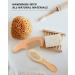 Baby Hair Brush and Comb Set with Natural Goat Bristles and Wooden Comb - Ideal Registry Gift for Newborns and Toddlers - Buy Online on GoSupps.com