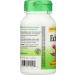 Nature's Way Echinacea Purpurea 1200 mg - 100 Vegan Capsules for Immune Support - Buy Online on GoSupps.com