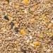 My Little Farm Bio-Hennenkorn 10 kg | Organic Chicken Feed for Laying Hens | Natural Whole Grain Poultry Mix Rich in Nutrients - Buy Online on GoSupps.com