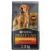 Purina Pro Plan Complete Essentials Dry Dog Food Shredded Blend Beef & Rice - 2.72 kg Bag 2.72 kg (Pack of 1)