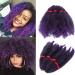 SEGO 11" Afro Cochet Braids Kinky Curly Hair Bulk Extensions Marlybob Crochet Braids Kinky Curly Hair Black & Purple