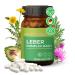 Victilabs Leber Complex Daily - vegan |With distula distula artichoke dandelion cholin |Laboratory test |Without additives - 120 capsules |Mary thistle capsule highly dosed