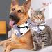 Shop Cute Panda Dog Hollow Cloth - Triangular Bibs for Small to Large Pets | Multi-Colored 2-Pack - Buy Online on GoSupps.com
