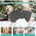 Leapbeast Dogsbadema | Quick-Drying Absorbent Dog Blanket with Velcro Fastener | Adjustable Straps | Size L - Gray - Buy Online on GoSupps.com