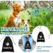 Hofleine for Dogs - 6m Tie Out Linen & Shock-Damping Spring Bite-Proof Leash Ideal for Camping - Durable Cable for Pets Up to 125lbs - Buy Online on GoSupps.com