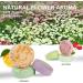 Gardenia Aromatherapy Shower Steamers - Relaxing Shower Bombs Gift with Pure Essential Oil for Mom's Spa Day - Pampering Self Care for Women and Men - Buy Online on GoSupps.com