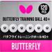 6 or 120 White Butterfly 40+ Training Balls - Ideal for Multiball Practice and Comparable to Three-Star Ball - Get Yours Now! - Buy Online on GoSupps.com