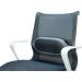 Buy Fellowes 9311602 I-Spire Series Lumbar Cushion | Foam Supportive Pillow with Breathable Mesh for Optimal Comfort - International Shipping Available - Buy Online on GoSupps.com